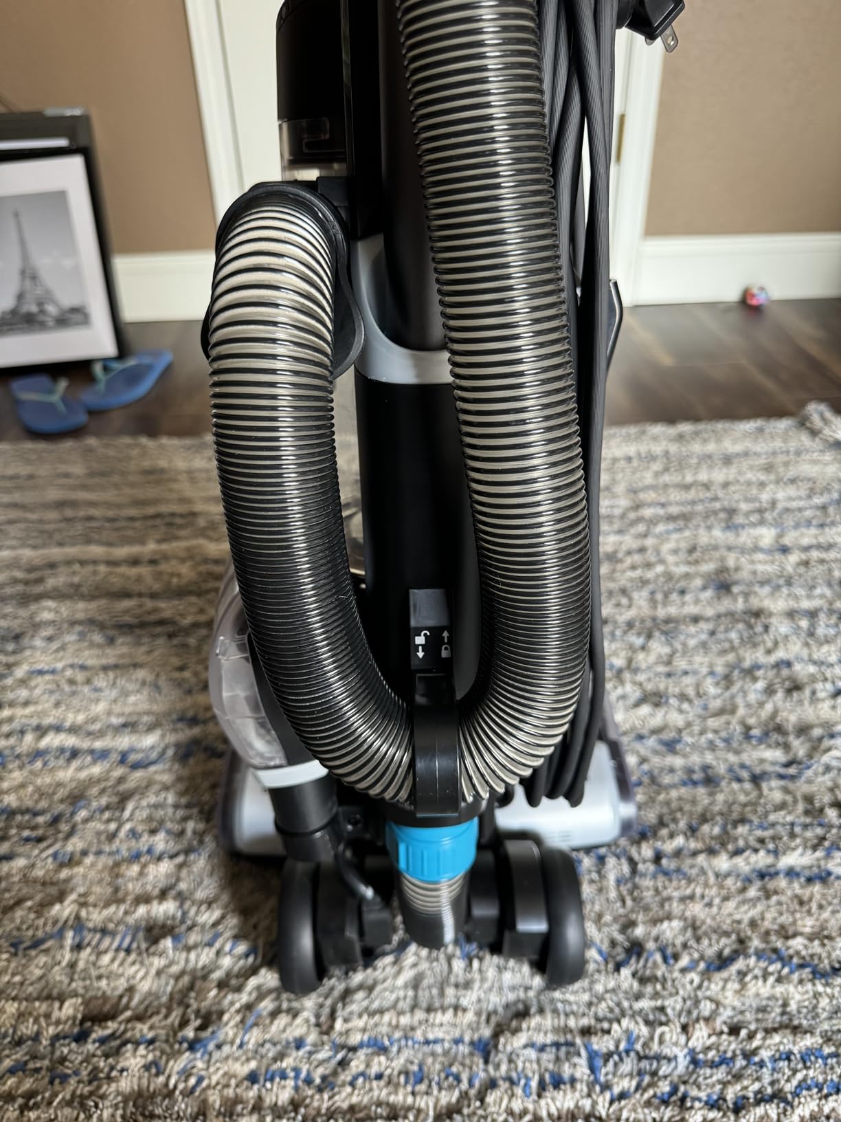 Bissell SurfaceSense Allergen Lift-Off Pet Upright Vacuum, 3418 customer photo 1