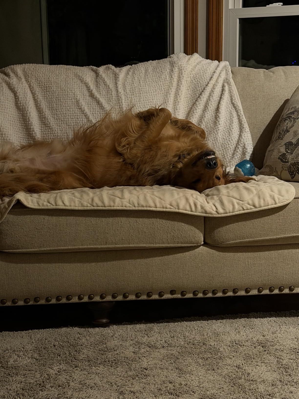 Bedsure GentleSoft Throw Blanket customer photo 2