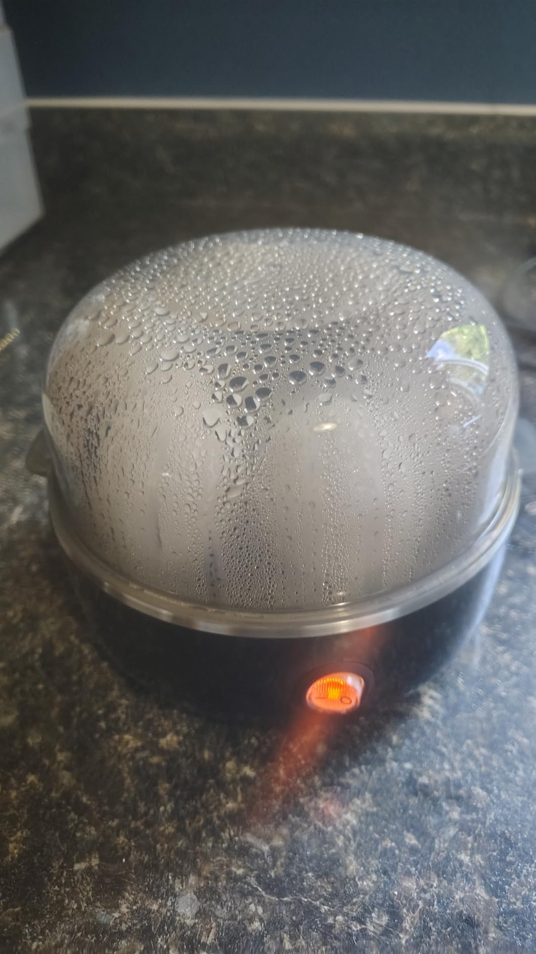 Elite Gourmet Egg Cooker customer photo 2