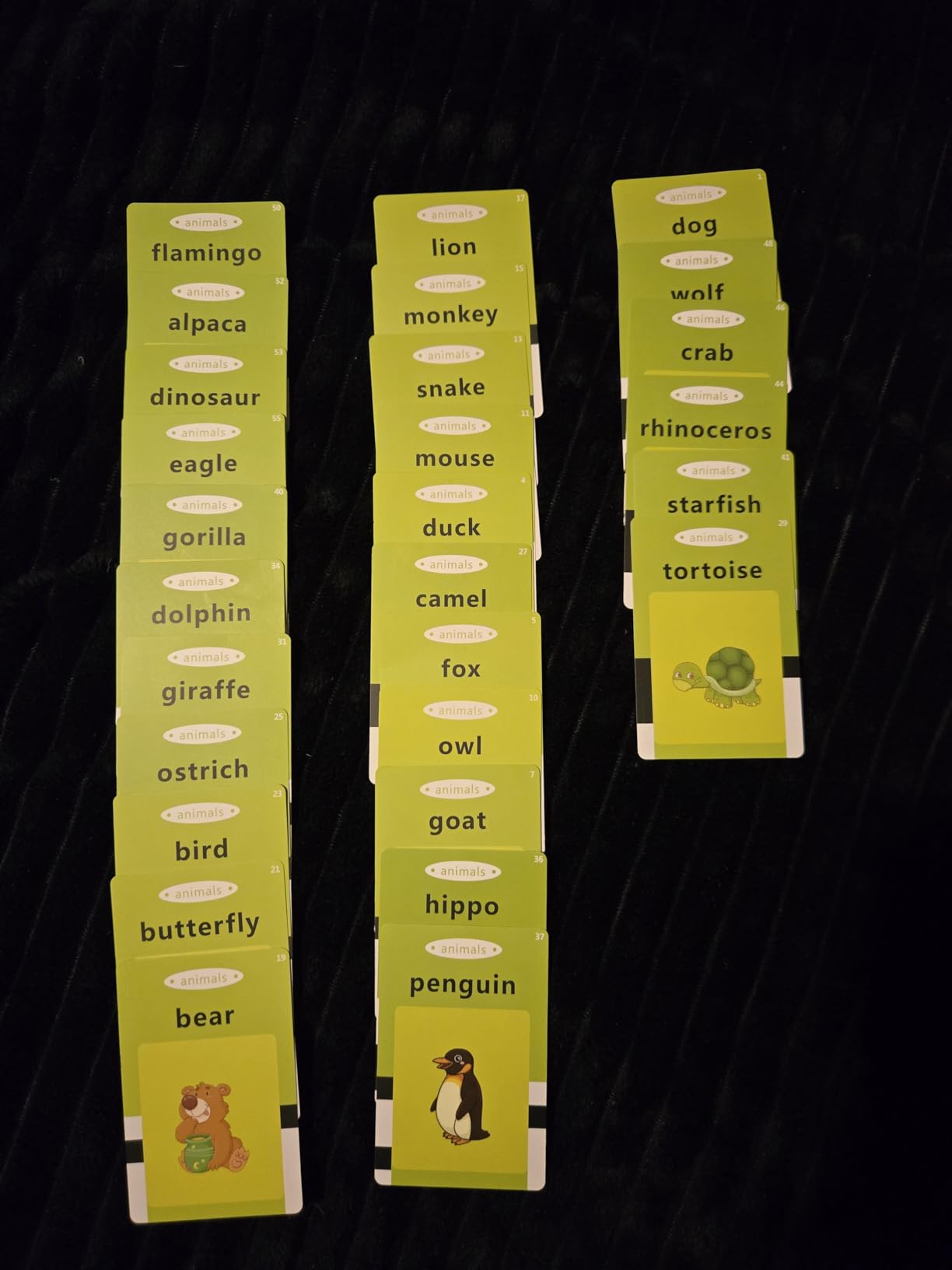 Aullsaty Talking Flash Cards customer photo 1