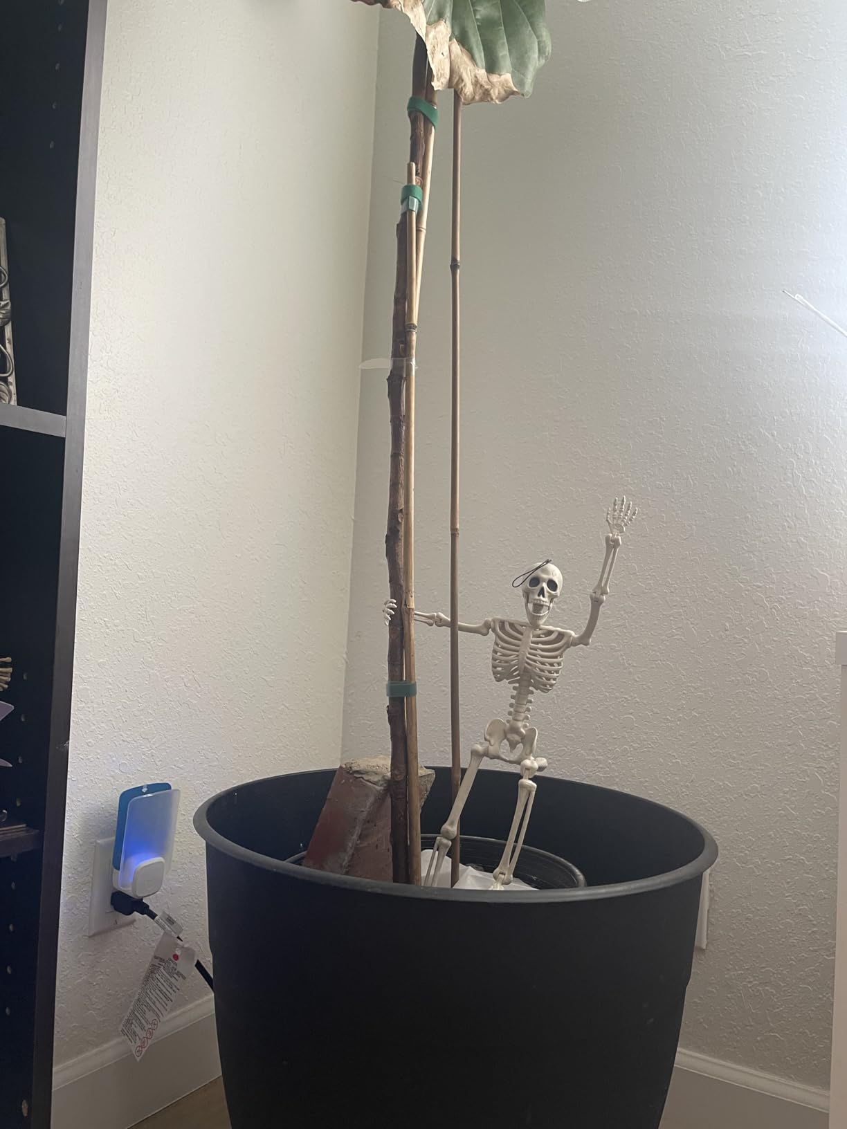 JOYIN 5 PCS Posable Halloween Skeleton Decor 16 Inches, Full Body Posable Joints Hanging Skeletons for Halloween Decorations, Graveyard Props, Haunted House Accessories, Spooky Scene Party Favors customer photo 2