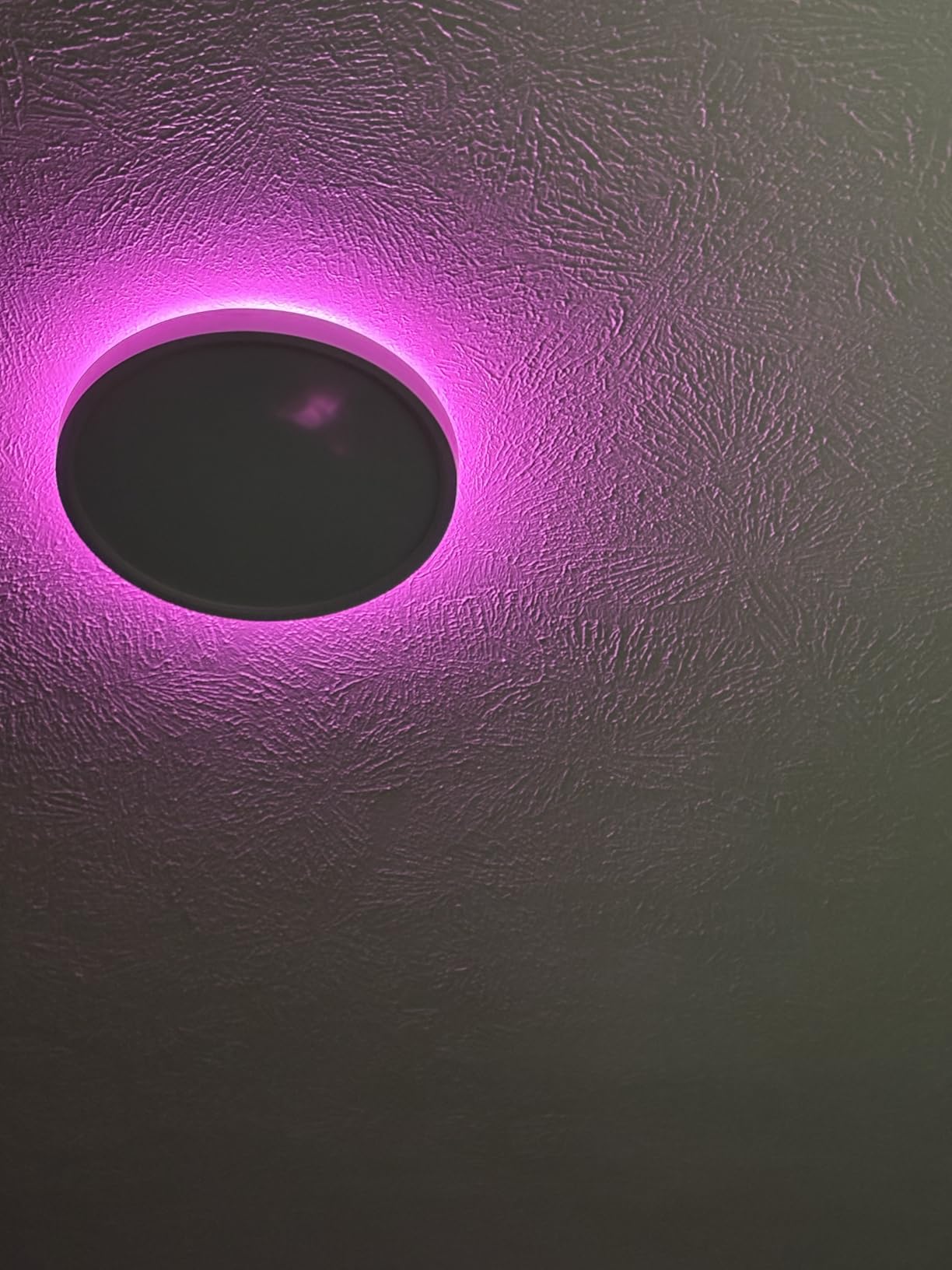 Govee Smart Ceiling Light, RGBIC 2400LM 2700K-6500K 12 Inch 1 Pack White customer photo 2