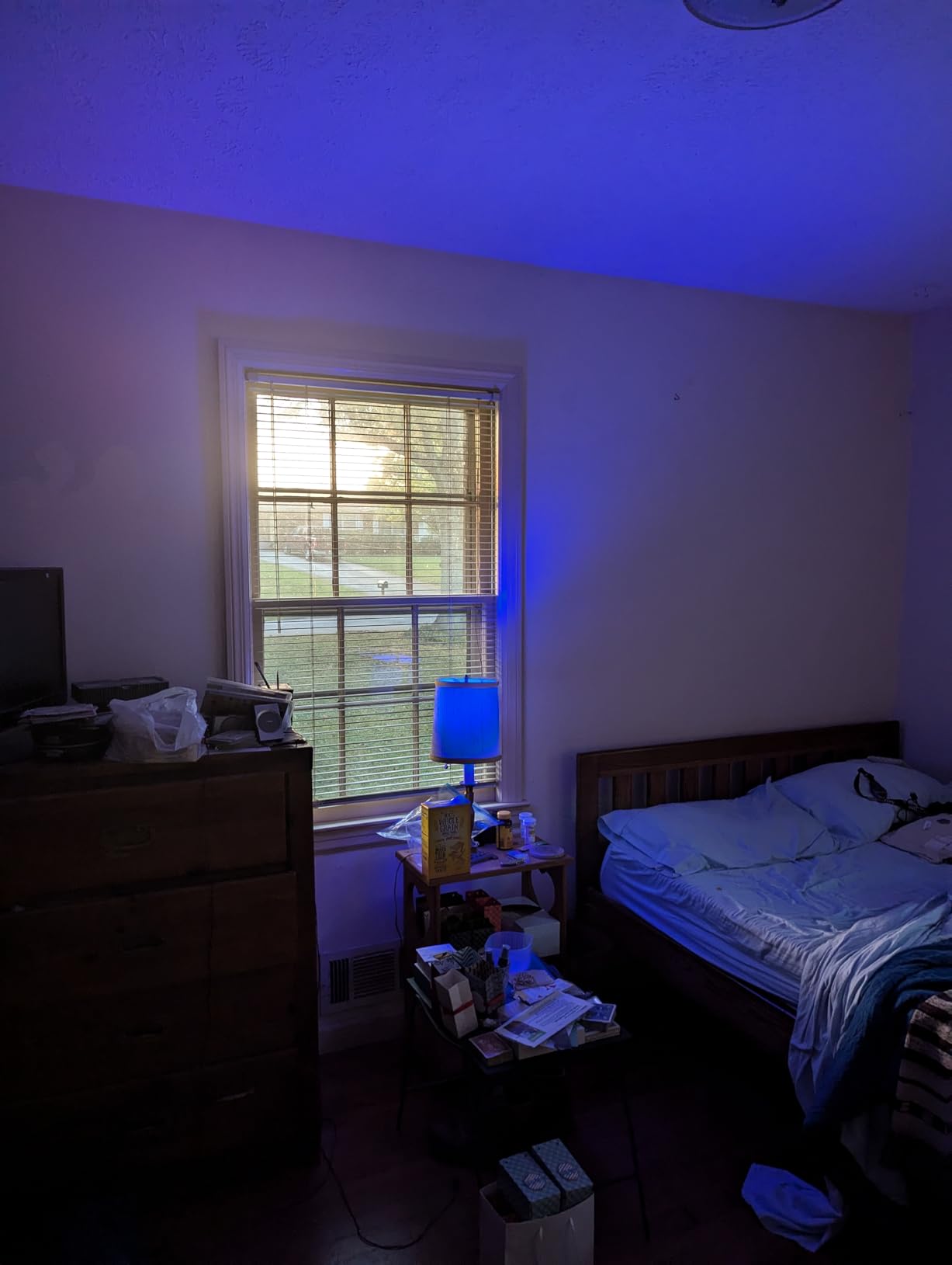 Tapo Multicolor Dimmable Smart Light Bulbs, L531E, A19 E26, 800LM customer photo 2