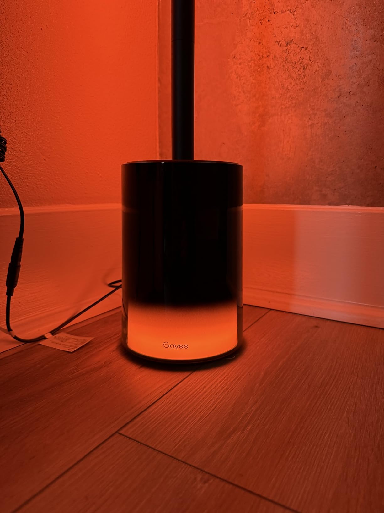 Govee Floor Lamp 2, RGBIC Smart Floor Lamp for Living Room, Bedroom customer photo 2