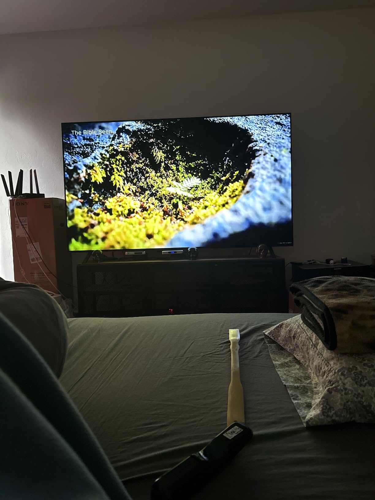 LG OLED65B4PUA 65-inch B4 customer photo 1
