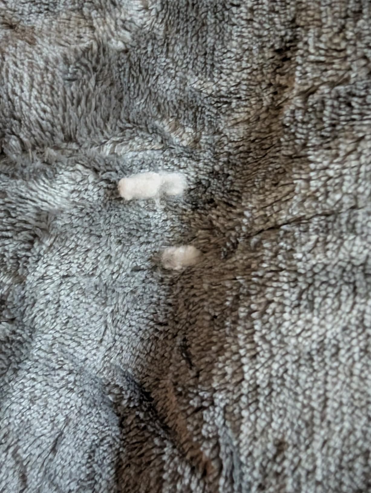 ESTINGO Electric Blanket Queen Size, 84