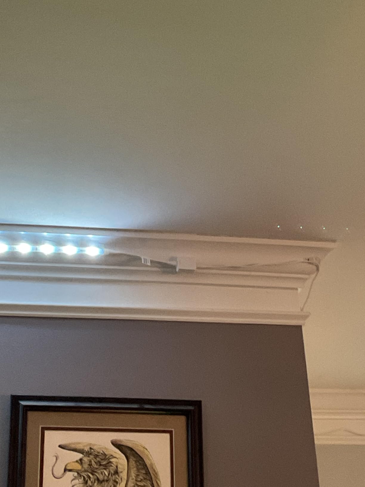 Philips Hue Solo Lightstrip 16 Ft customer photo 2