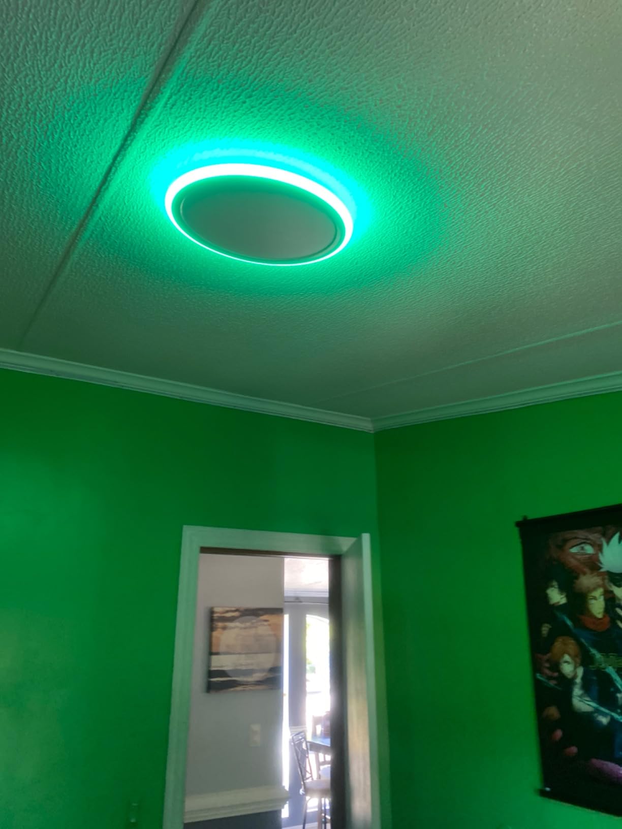 BLNAN Smart RGB LED Flush Mount Ceiling Light with Remote, 13 Inch 24W Dimmable Color Changing Low Profile Wired White Fixture, Works with Alexa Google Home App for Bedroom Living Kids Room Party customer photo 2