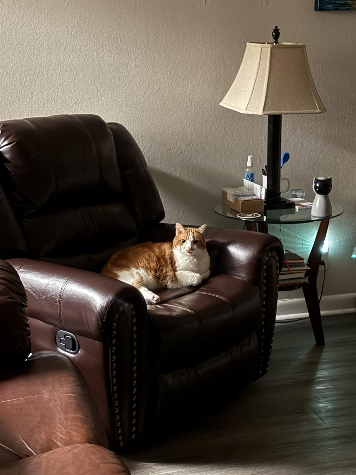 CANMOV Manual Recliner Chair, Classic and Traditional Manual Recliner Chair with Comfortable Arms and Back Single Sofa for Living Room, White Grey customer photo 1