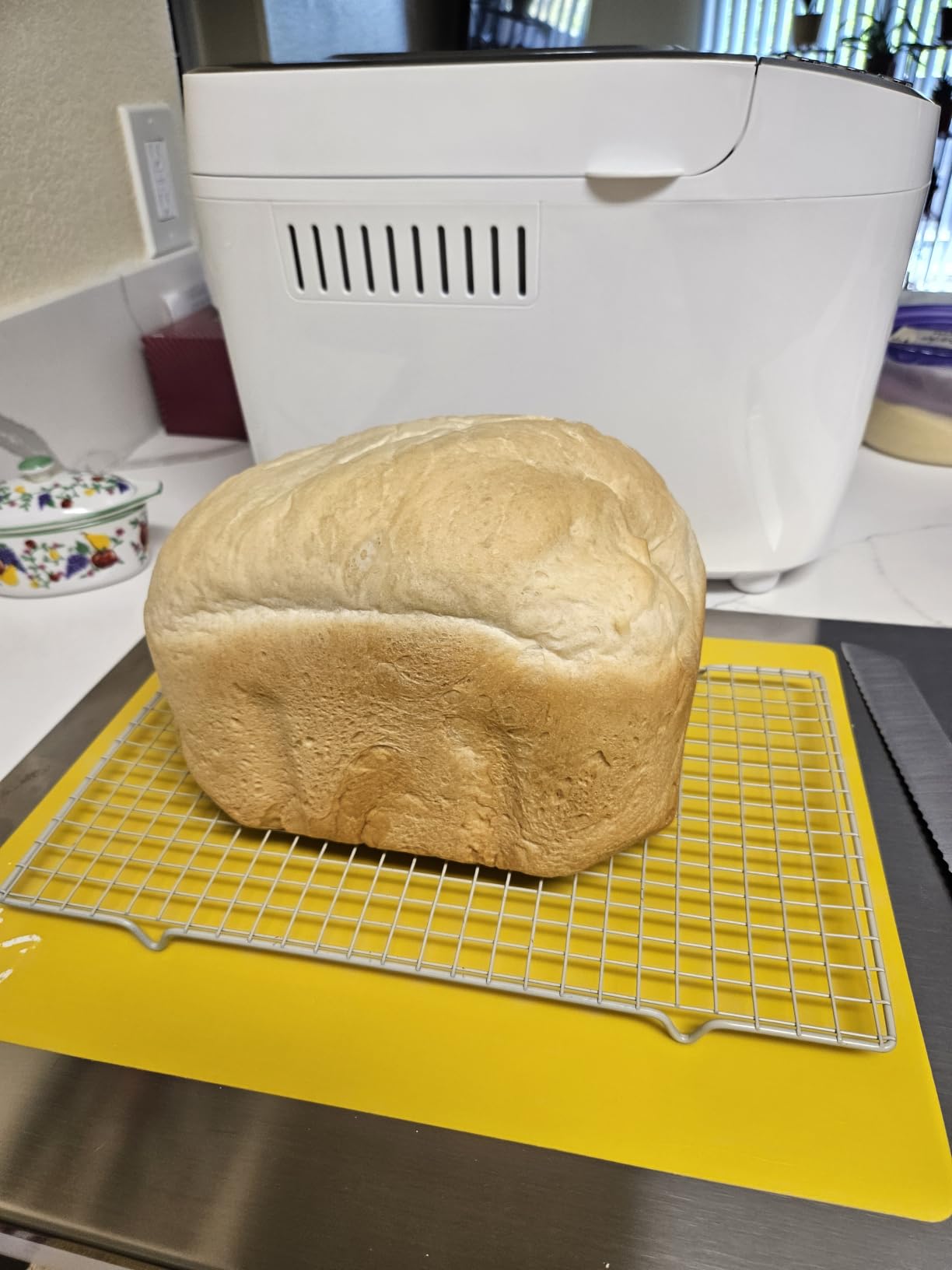 VEVOR Bread Maker, 19-in-1 2LB Dough Machine, Nonstick Ceramic Pan Automatic Breadmaker with Gluten Free Setting, Whole Wheat Bread Making, Digital, Programmable, 3 Loaf Sizes, 3 Crust Colors customer photo 1