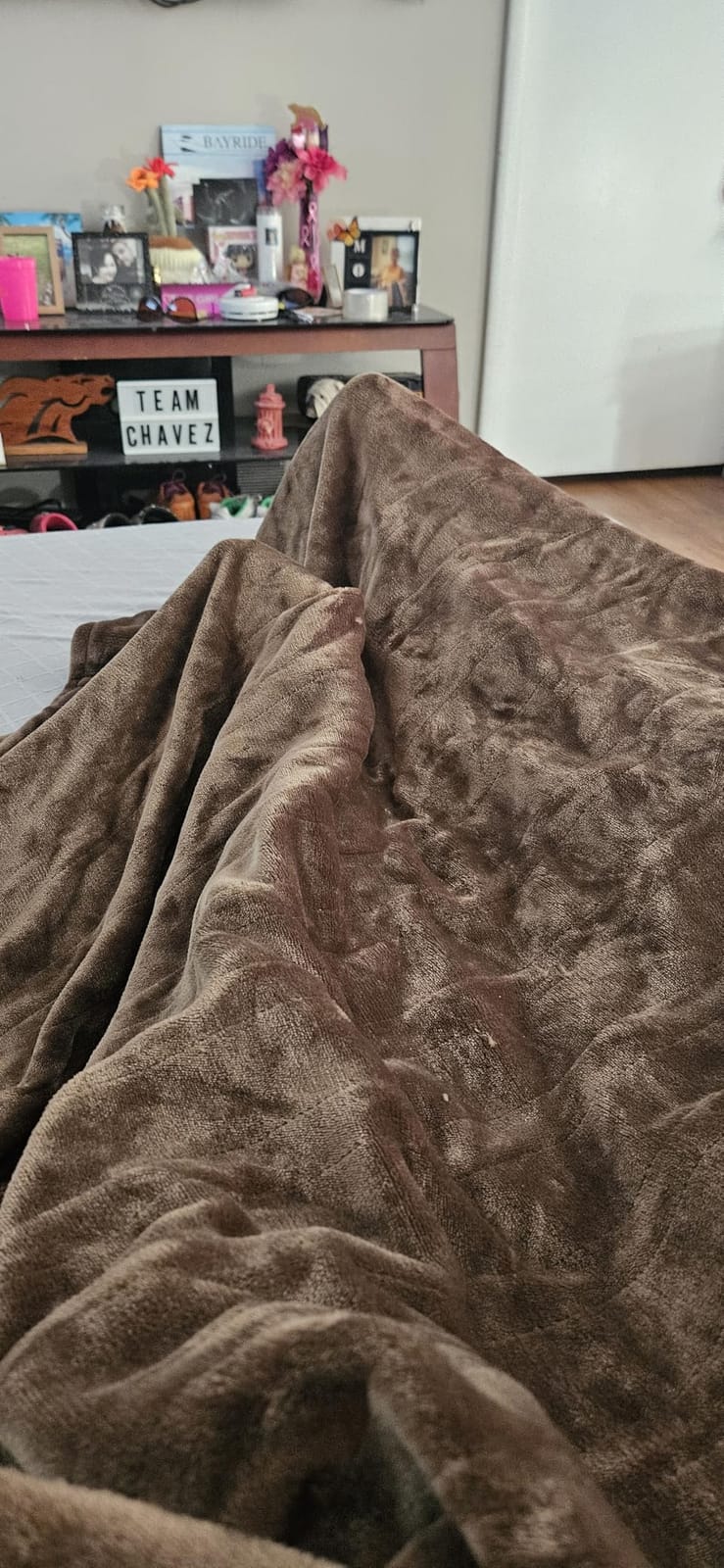 Wapaneus Heated Blanket Electric Queen Size 84