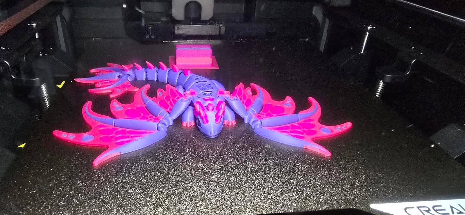Creality K2 (A) Combo 3D Printer, Multicolor Printing with CFS customer photo 2