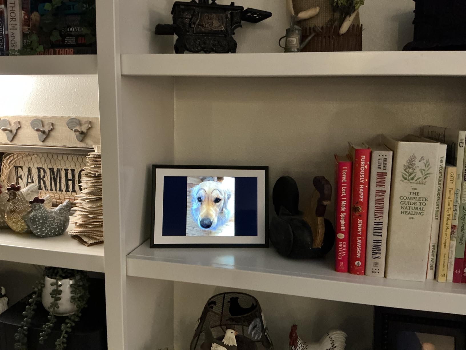 Aura Digital HD Picture Frame, Best Frame for Gifting, (10